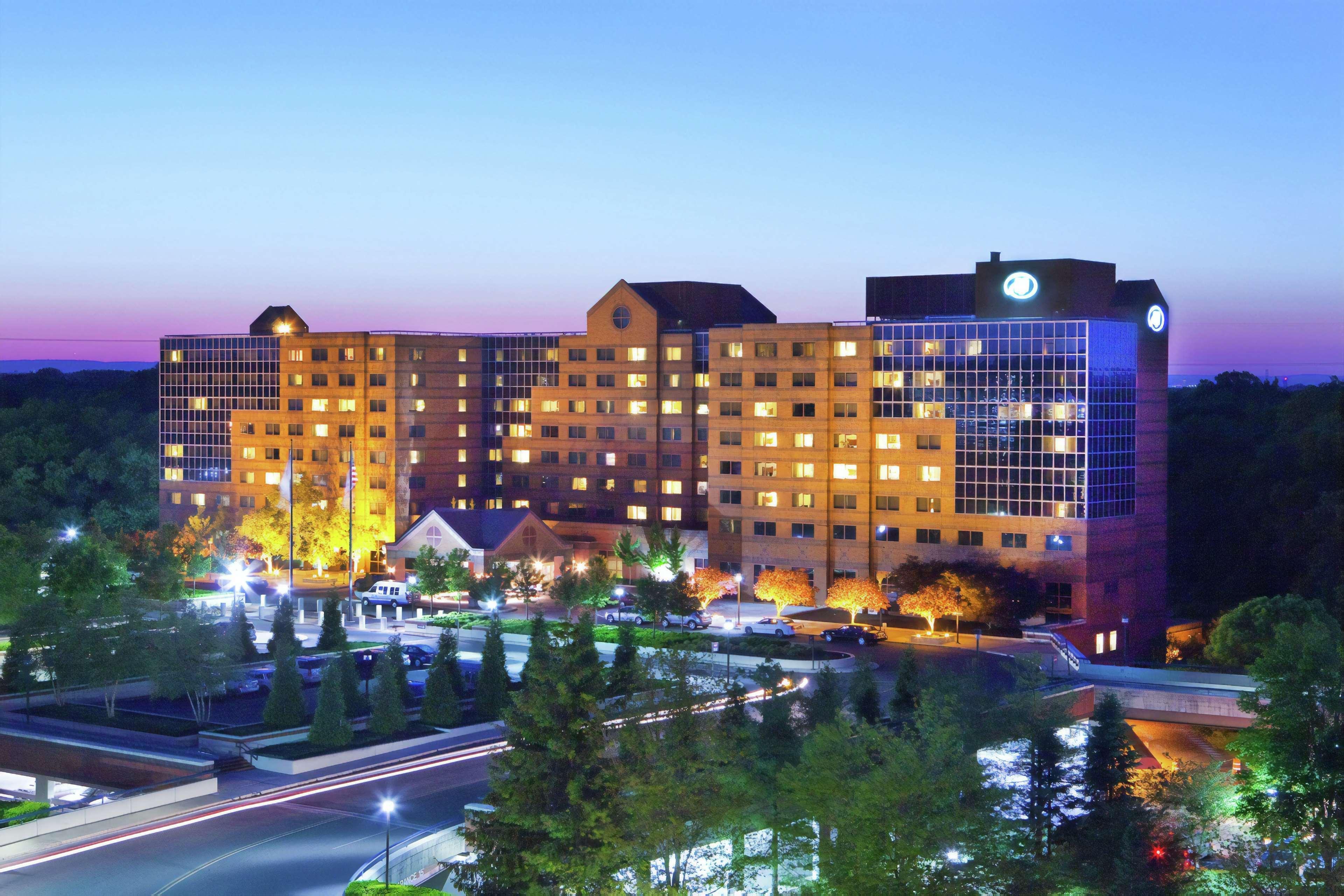 Hilton 4*